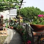 Le Mimose Vietri