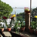 Le Mimose *