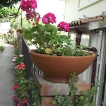 Le Mimose Ferienhaus
