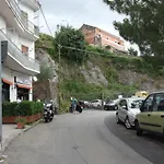 Le Mimose