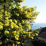 Le Mimose * Vietri