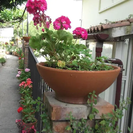 Le Mimose بيت للعطل