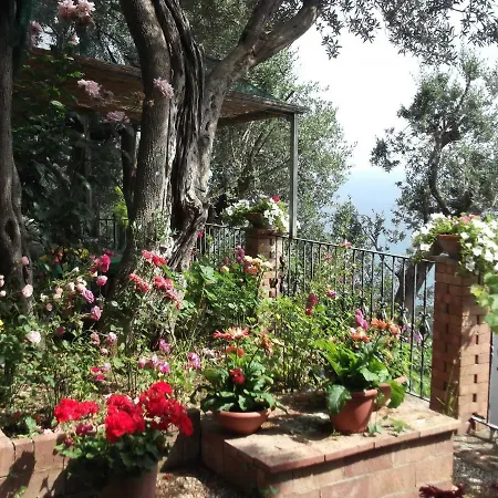 度假居 Le Mimose Vietri