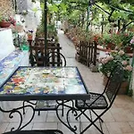 Le Mimose Hébergement de vacances *