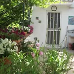 Le Mimose Vietri