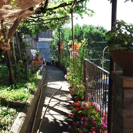 Le Mimose * Vietri