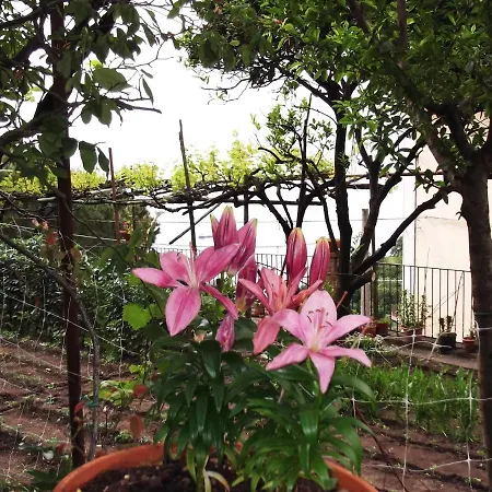 Σπίτι διακοπών Le Mimose Vietri