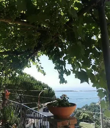 Le Mimose 펜션 Vietri