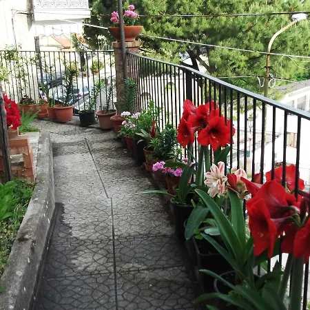 Ferienhaus Le Mimose *