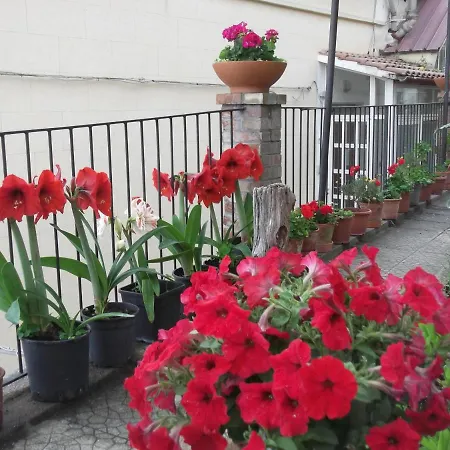 Ferienhaus Le Mimose Vietri