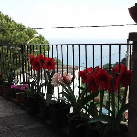 Le Mimose Ferienhaus