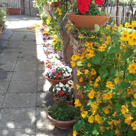 Ferienhaus Le Mimose *
