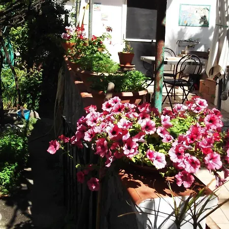 Le Mimose Vietri