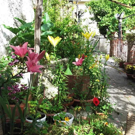 Ferienhaus Le Mimose Vietri