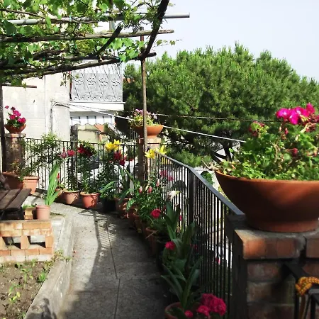 Le Mimose Vietri