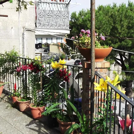 Le Mimose Ferienhaus