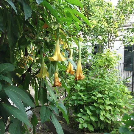 Σπίτι διακοπών Le Mimose