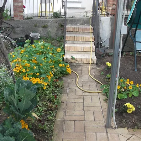 Σπίτι διακοπών Le Mimose Vietri