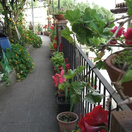 Le Mimose Σπίτι διακοπών