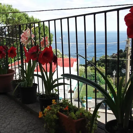 Le Mimose Σπίτι διακοπών *