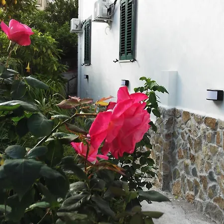 Σπίτι διακοπών Le Mimose Vietri