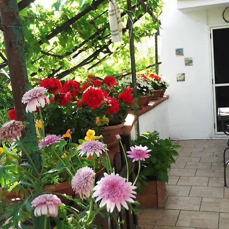 Le Mimose Σπίτι διακοπών