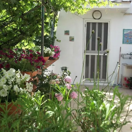 Le Mimose Vietri