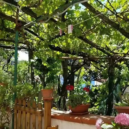 Ferienhaus Le Mimose *