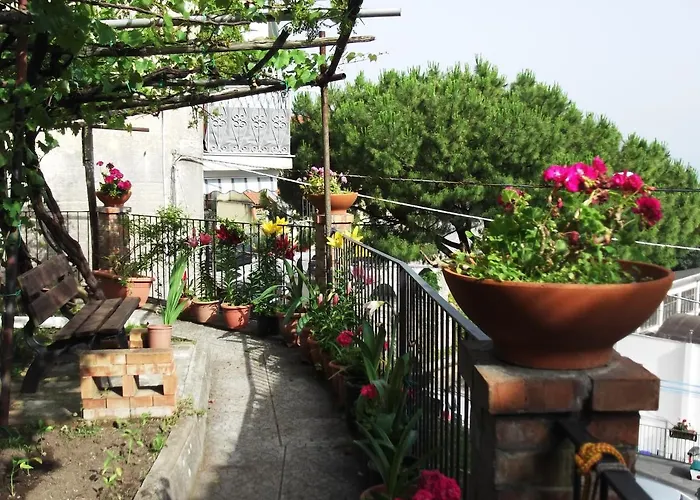 Le Mimose Vietri