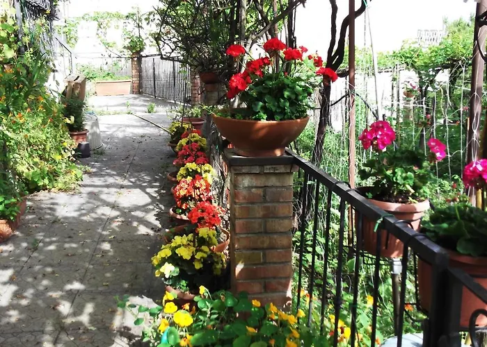 Casa de Férias Le Mimose *