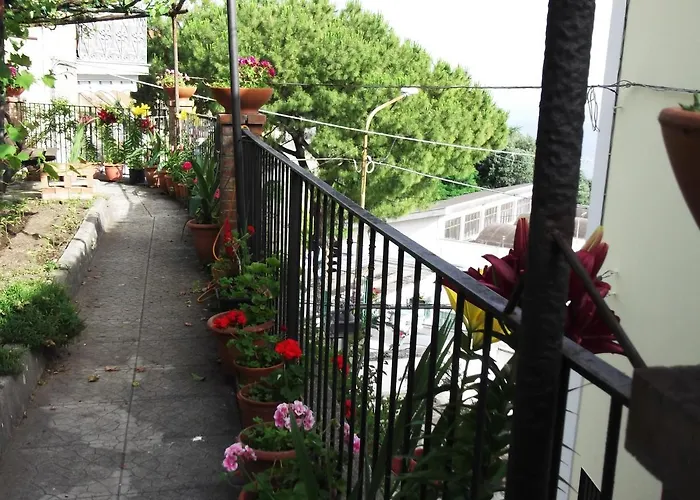 Le Mimose Casa de Férias *
