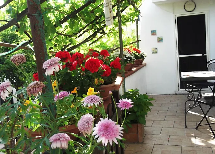 Le Mimose Casa de Férias